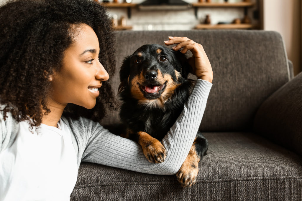 Is it legal for landlords to refuse pets? PropertyLoop
