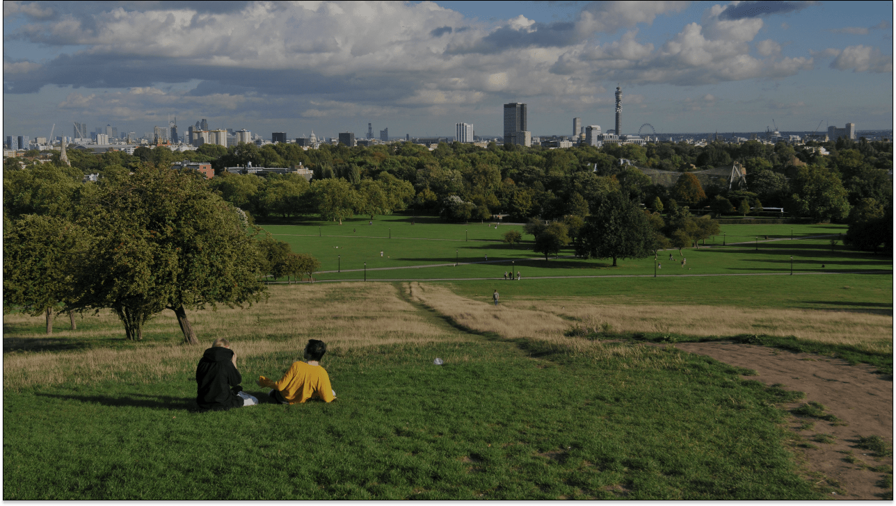 primrose-hill-estate-agents